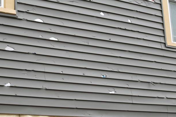 Best Vinyl Siding Installation  in Cockeysville, MD