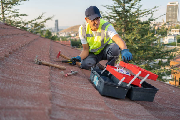 Best Historical Building Siding Restoration  in Cockeysville, MD